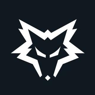 Dire Wolves, esports team absorbs Sydney Drop Bears and N8 Esports ...